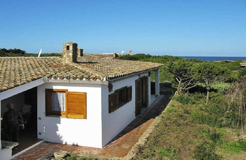 Portobello di Gallura Villa | Villa a short walk from the sea surrounded by a garden with trees, plants and flowers