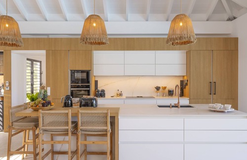 Anse Marcel Villa | Villa Abaca