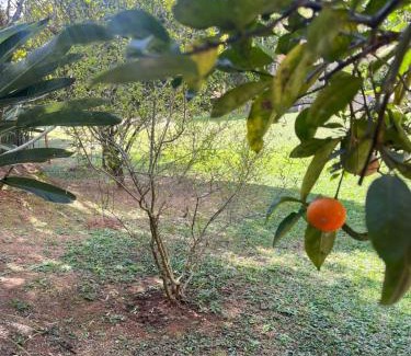 Cascata do Imbui House | Villa Aconchego Corrêas Itaipava