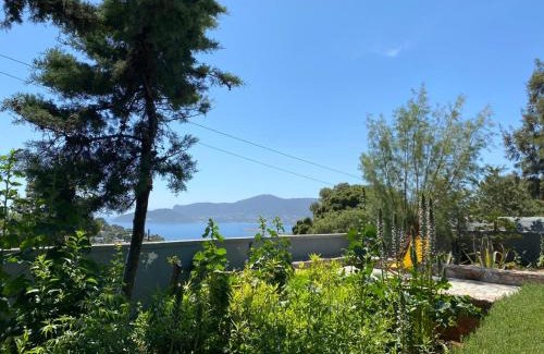 Porto Rafti Villa | Villa-Agave , by the sea in Porto-Rafti outside Athens