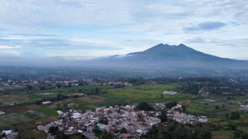 Jambu Luwuk House | Villa Ainun