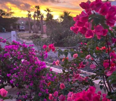 Boa Vista Villa | Villa Alfredo Marchetti 13B