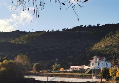 Seia House | Villa Alzira