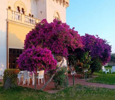 Paceco Bed & Breakfast | villa amodeo
