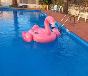 Paceco Bed & Breakfast | villa amodeo