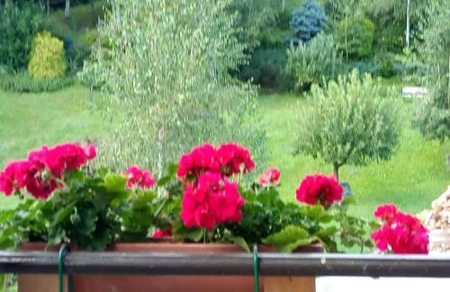 Chiusa di Pesio Villa | Villa Angela primo piano appartamento