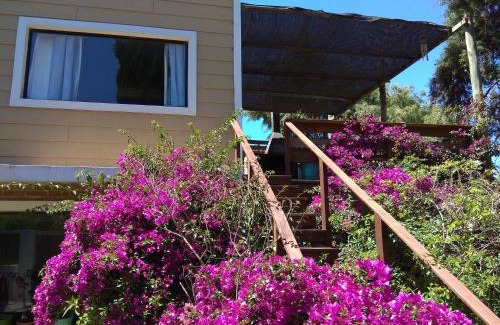 Playa Grande Apartment | Villa Anita Spa
