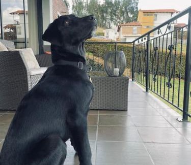 Paipa House | Villa Anny