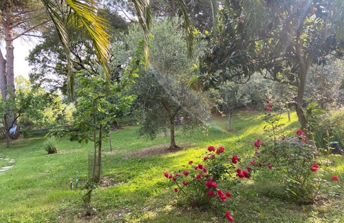 Castellina Marittima Villa | Villa Antonella