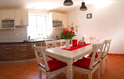 Mocici Villa | Villa Antonija heated private pool, near Dubrovnik,8plus 2 p ideal for families and groups
