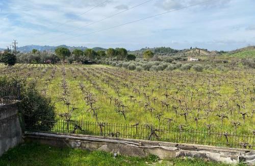 Archaia Olympia House | Villa Aris