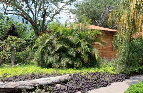 Ajijic Hotel | Villa Armonia Hotel & Spa