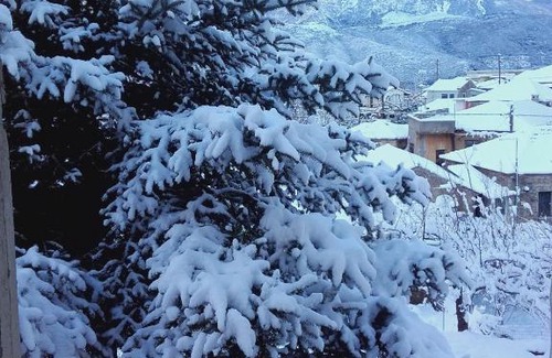 Artemisia House | Villa Artemis and apartments