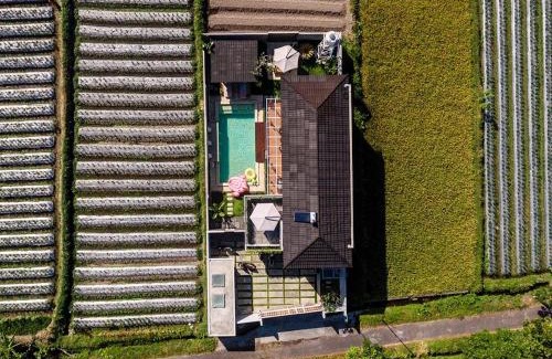 Candi Binangun Villa | Villa Arusha Jogja