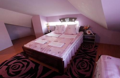 Stara Pazova House | Villa Atina