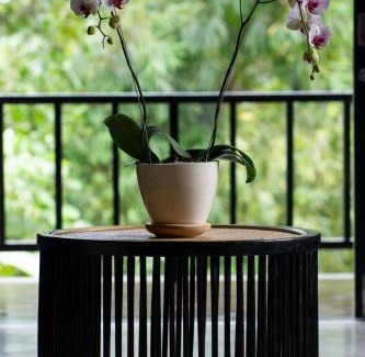 Kesiman House | Villa Ayung