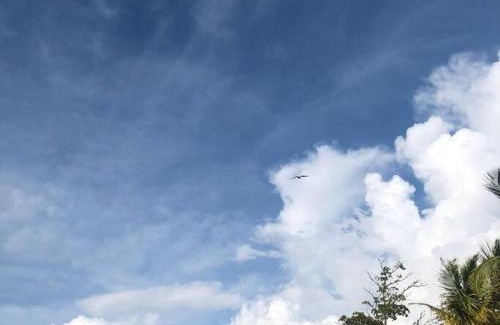 Necocli Apartment | ¡VILLA AZUL! LUGAR ENCANTADOR A 60 METROS DEL MAR :o ;)