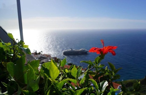 Canico Villa | Villa Babel - Garajau - Madeira