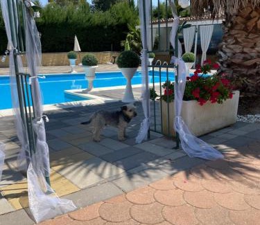 Enna Villa | Villa belvedere B&B casa vacanze Enna pergusa