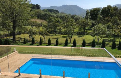 Vulcan Villa | Villa Bergzicht