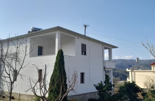 Berat Apartment | Villa Besart