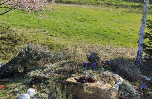 Semizovac Villa | Villa BMW