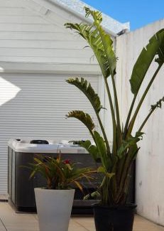 La Plaine des Cafres Ski Chalet | Villa bon'heure -Le tibouchina