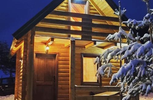 Zabljak Villa | Villa Borje