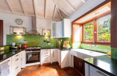 Puntagorda Villa | Villa Botánico