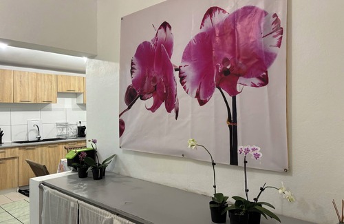 Centre Ville House | Villa Bougainvilliers