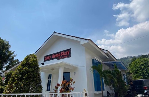 Sukapura Villa | Villa Bromo Potato 2