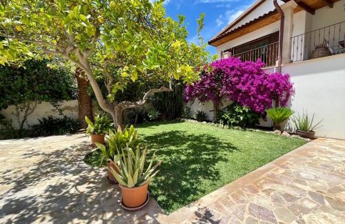 Palmanova Villa | Villa Buena Vista