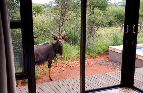 Hoedspruit Villa | Villa Bushman: Wonderful luxury and attractive villa