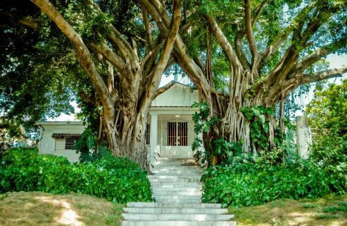 Ensanche Miramar Bed & Breakfast | Villa Carolina Bed and Breakfast