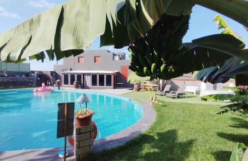 Santa Maria de Guia de Gran Canaria Villa | Villa Canaria Luna - Large saltwater pool