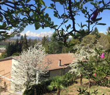 Briona House | Villa Caramino