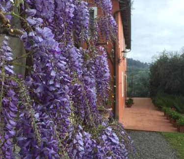Lucca Villa | Villa Casetta
