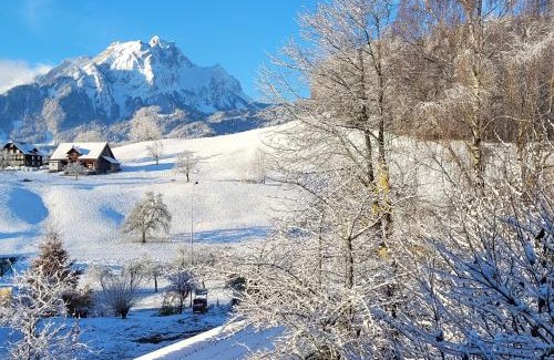 Kastanienbaum House | Villa Castagna Guesthouse