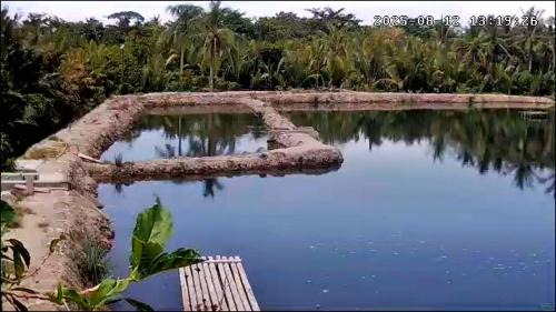 Nabas Bed & Breakfast | Villa Catalina Bora 3 Resort