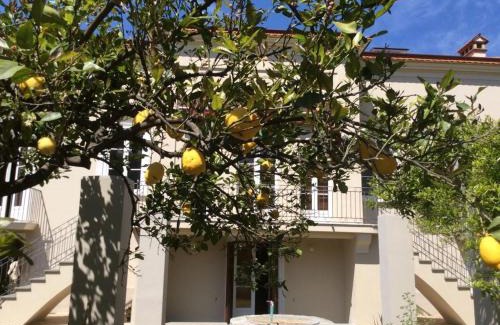 Sapri House | Villa Caterina