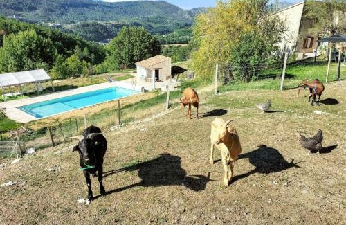 Sisteron Villa | Villa charmante à Sisteron avec piscine privée