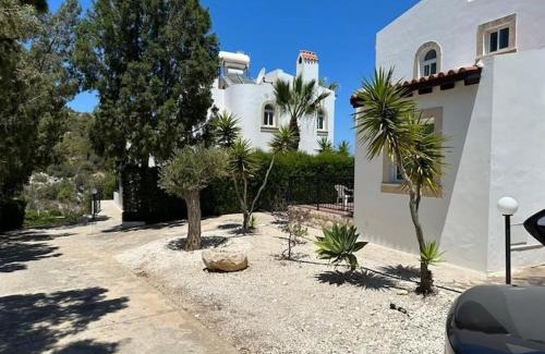 Latchi Villa | Villa Chrysanthemum