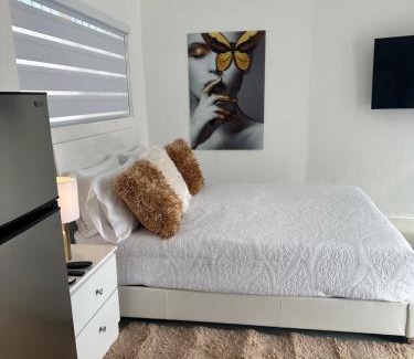East Little Havana Apartment | Villa Clara Super Studio