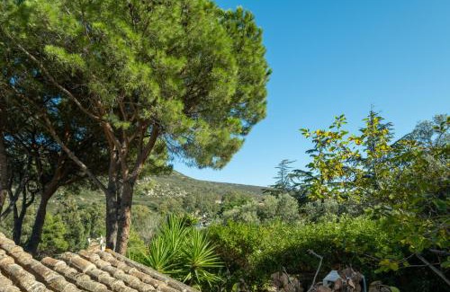 Torre delle Stelle Villa | Villa Claudia Torre Delle Stelle