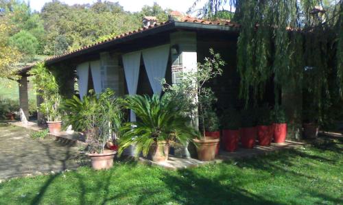 Tragliatella Villa | Villa con piscina