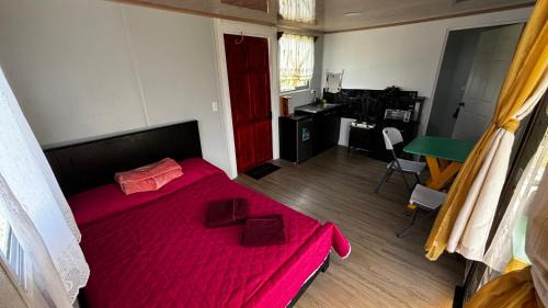 Toro Amarillo Ski Chalet | Villa Congos