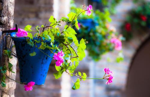 Pinos de Alhaurin Bed & Breakfast | Villa Conmigo Bed & Breakfast
