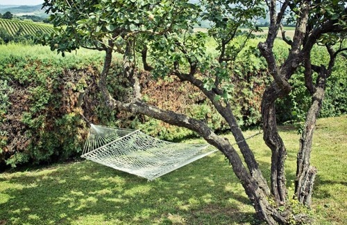 Corbara Villa | Villa Corelia - Private Umbrian villa with pool
