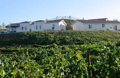 Temecula Villa | Villa CostaMonto Wine Country Estate