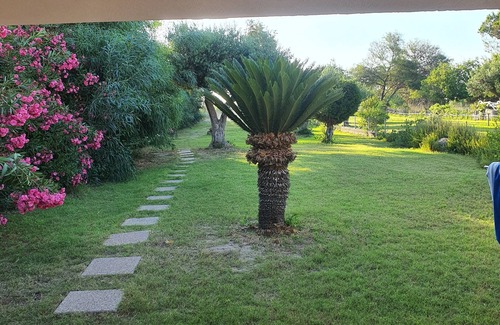 Villaggio delle Mimose Villa | Villa Cycas in Prima Fila Sulla Spiaggia